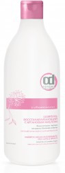 CD ШАМПУНЬ "ВОССТАНАВЛИВАЮЩИЙ" с аргановым маслом 1000 мл 