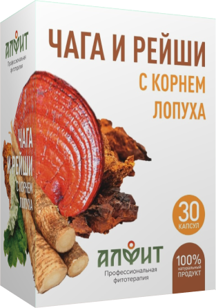 Концентрат на растительном сырье Алфит "Чага и рейши с корнем лопуха", 30 капсул (14 гр)