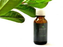 Эфирное масло Biorganika Cedar (15 мл)